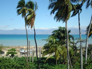 View of beach